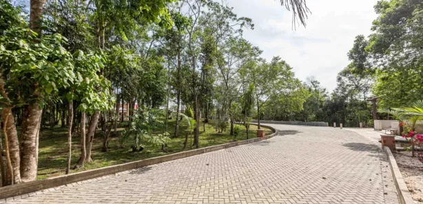 Fazenda / Sítio / Chácara com 3 Quartos à venda, 480m² no , Rio Branco do Sul