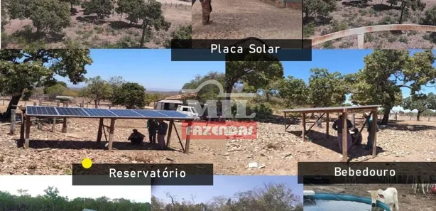 Fazenda / Sítio / Chácara à venda, 500m² no , Paranã