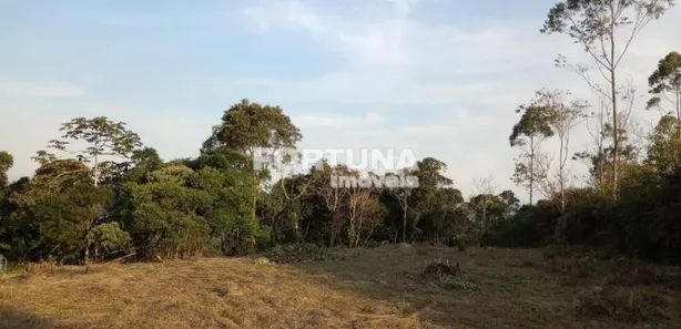 Terreno / Lote Comercial à venda, 1959m² no Fazenda Vitoria, São Lourenço da Serra