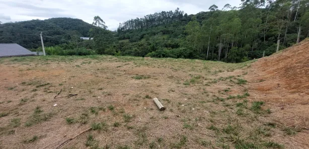 Fazenda / Sítio / Chácara com 2 Quartos à venda, 841m² no Vargem Grande, Águas Mornas