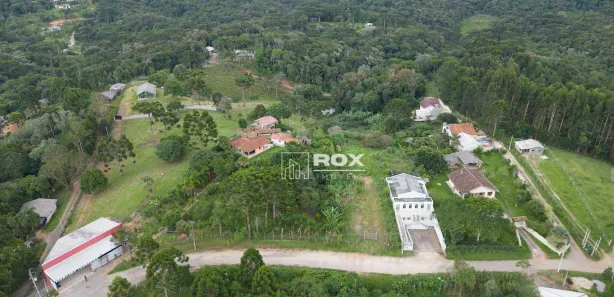 Fazenda / Sítio / Chácara com 10 Quartos à venda, 34360m² no Palmitalzinho, Quatro Barras