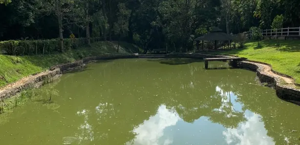 Fazenda / Sítio / Chácara com 15 Quartos à venda, 2500m² no , Mendes