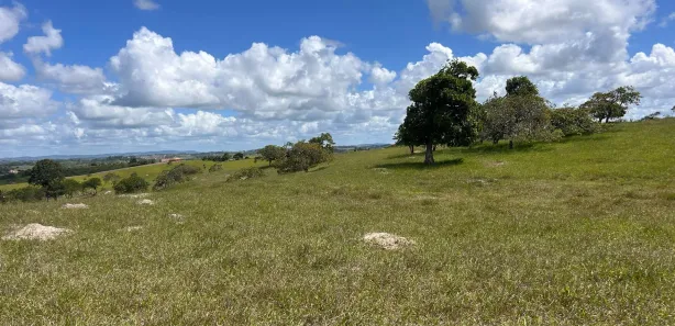 Fazenda / Sítio / Chácara à venda, 45000m² no , Sairé