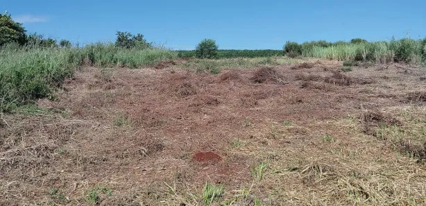 Terreno / Lote / Condomínio à venda, 798m² no , Alvorada do Sul