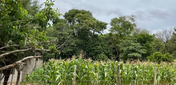 Terreno / Lote / Condomínio à venda, 1050m² no Bosque dos Pinheiros, Capivari