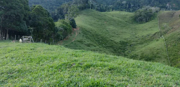 Fazenda / Sítio / Chácara com 3 Quartos à venda, 300000m² no Área Rural de Macaé, Macaé