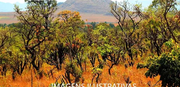 Fazenda / Sítio / Chácara à venda, 90000000m² no , Morros