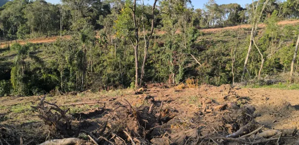 Casa de Condomínio com 1 Quarto à venda, 1000m² no Saboó, São Roque