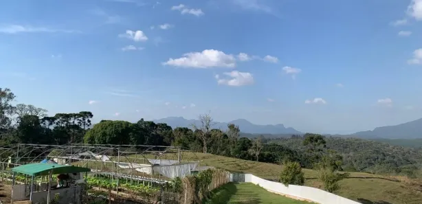 Fazenda / Sítio / Chácara com 4 Quartos à venda, 72600m² no Quatro Barras, Quatro Barras