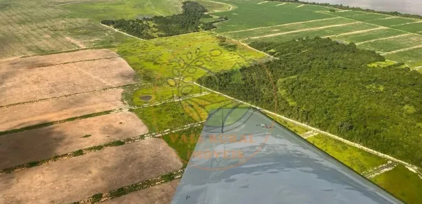 Fazenda / Sítio / Chácara com 6 Quartos à venda, 834m² no CENTRO, Lagoa da Confusão