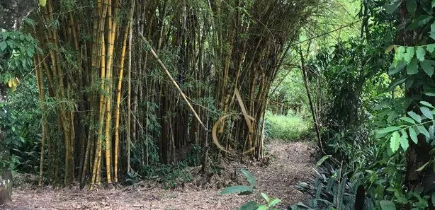 Fazenda / Sítio / Chácara à venda, 24975m² no Parque Xerém, Duque de Caxias