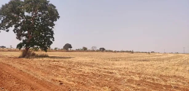 Fazenda / Sítio / Chácara à venda, 50500m² no , Brasília