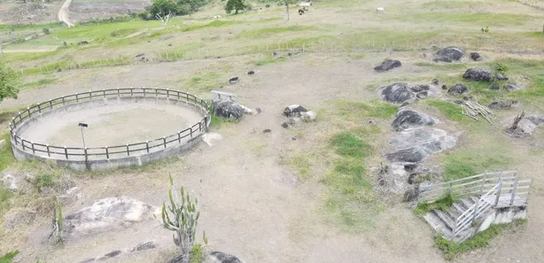 Fazenda / Sítio / Chácara com 1 Quarto à venda, 500000m² no Mandacaru, Gravatá