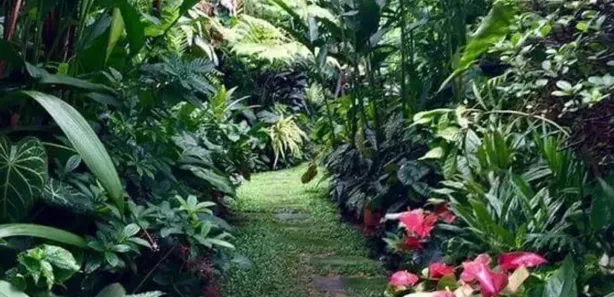 Fazenda / Sítio / Chácara com 4 Quartos à venda, 1000m² no , Alumínio