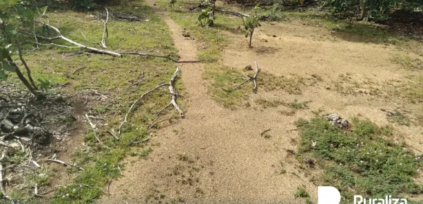 Fazenda / Sítio / Chácara à venda, 571m² no , Lagoa da Confusão