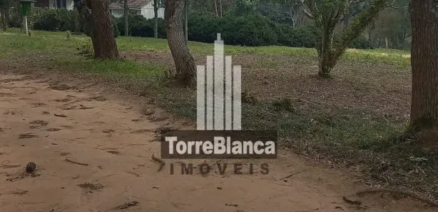 Fazenda / Sítio / Chácara com 3 Quartos à venda, 70m² no Guaragi, Ponta Grossa