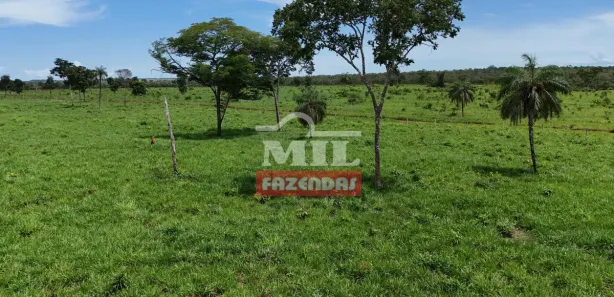Fazenda / Sítio / Chácara à venda, 500m² no , Paranã