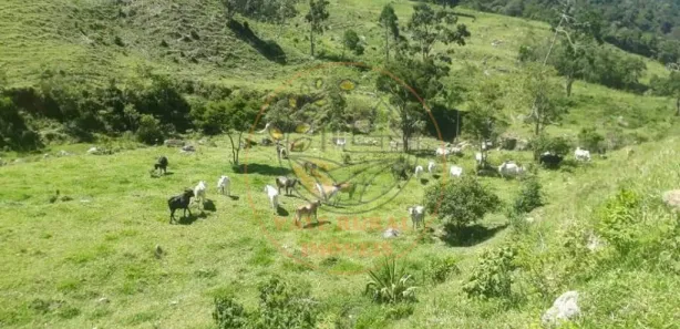 Fazenda / Sítio / Chácara com 2 Quartos à venda, 25m² no Centro, Macaé