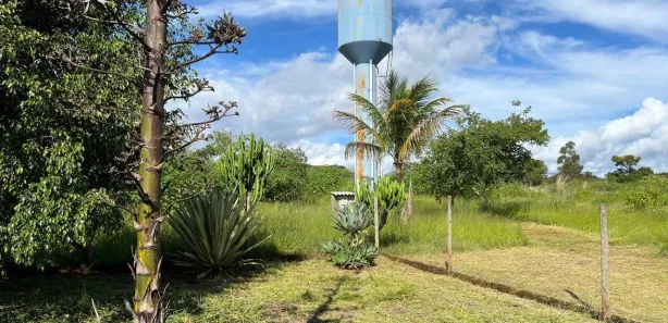 Fazenda / Sítio / Chácara com 3 Quartos à venda, 188m² no Núcleo Rural Lago Oeste, Brasília