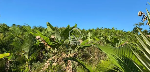 Fazenda / Sítio / Chácara com 1 Quarto à venda, 101850m² no Sete de Janeiro, Massaranduba