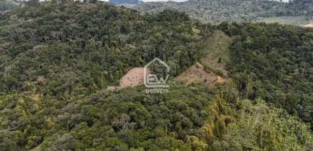 Fazenda / Sítio / Chácara com 1 Quarto à venda, 92651m² no , Massaranduba