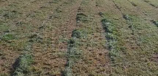 Terreno / Lote / Condomínio para alugar, 6800m² no Jardim Tinen, Araraquara