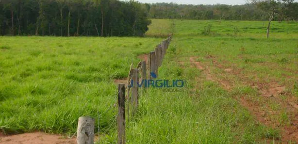 Fazenda / Sítio / Chácara com 1 Quarto à venda, 15070000m² no , Pedro Afonso