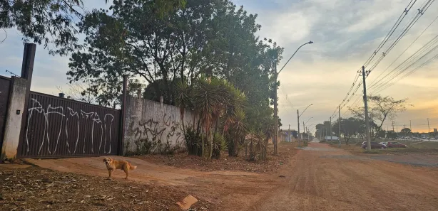 Galpão / Depósito / Armazém à venda, 300m² no Setor Placa da Mercedes, Brasília