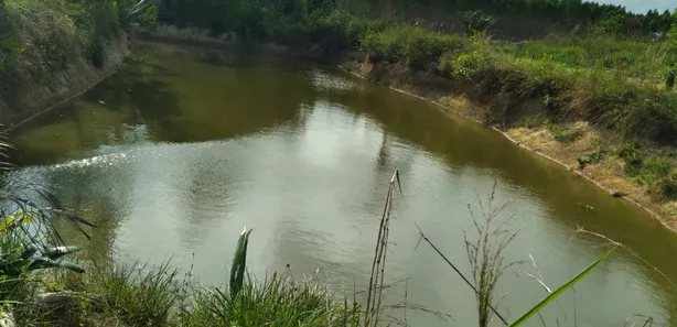 Fazenda / Sítio / Chácara com 3 Quartos à venda, 200m² no Centro, Itapecuru Mirim