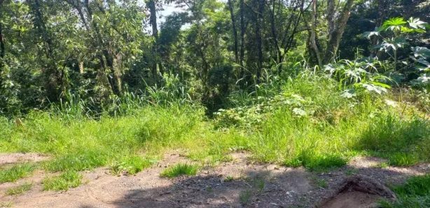 Terreno / Lote / Condomínio à venda, 2496m² no Vista Alegre, Vinhedo