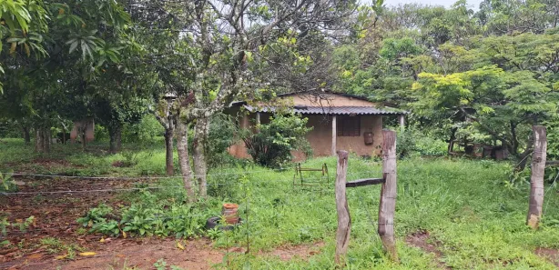 Fazenda / Sítio / Chácara à venda, 142000m² no Área Rural de Formosa, Formosa