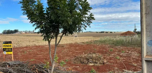 Terreno / Lote / Condomínio à venda, 300m² no Plano Piloto - Centro, Assis Chateaubriand