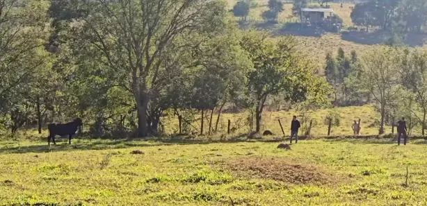 Terreno / Lote / Condomínio à venda, 10000m² no Centro, Pouso Alegre
