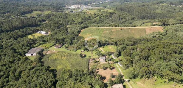 Fazenda / Sítio / Chácara com 3 Quartos à venda, 242000m² no , Campina Grande do Sul