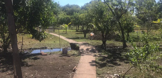 Fazenda / Sítio / Chácara com 3 Quartos à venda, 250m² no , Terenos