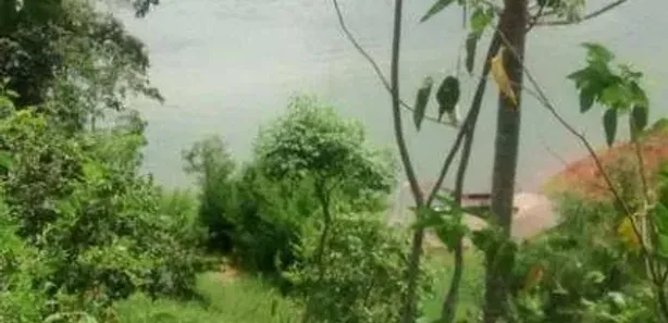 Fazenda / Sítio / Chácara com 3 Quartos à venda, 300m² no , Igaratá