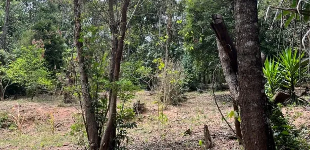 Fazenda / Sítio / Chácara com 5 Quartos à venda, 4718m² no Vale do Sol, São Joaquim de Bicas