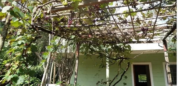 Fazenda / Sítio / Chácara com 3 Quartos à venda, 200m² no Centro, Pirapora do Bom Jesus