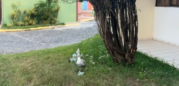 Casa de Condomínio com 2 Quartos para alugar, 60m² no Nossa Senhora da Conceição, Paulista