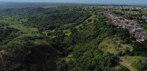 Fazenda / Sítio / Chácara com 4 Quartos à venda, 60000m² no , Bananeiras