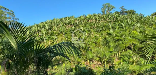 Fazenda / Sítio / Chácara com 1 Quarto à venda, 101850m² no Sete de Janeiro, Massaranduba
