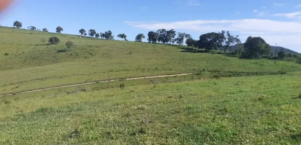 Fazenda / Sítio / Chácara à venda, 9196000m² no Foch I, Pouso Alegre