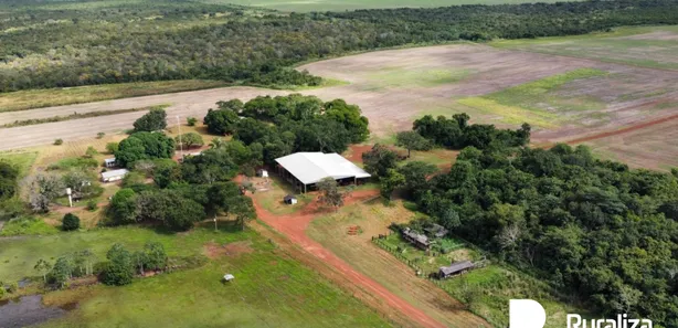Fazenda / Sítio / Chácara à venda, 4244m² no , Pium