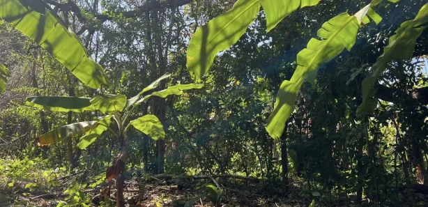 Fazenda / Sítio / Chácara com 2 Quartos à venda, 150m² no , Pacoti