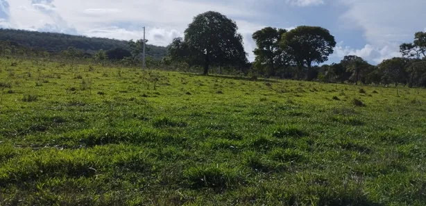 Fazenda / Sítio / Chácara com 5 Quartos à venda, 69m² no Área Rural de Formosa, Formosa