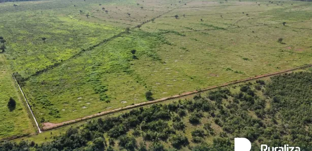 Fazenda / Sítio / Chácara à venda, 503m² no , Pium