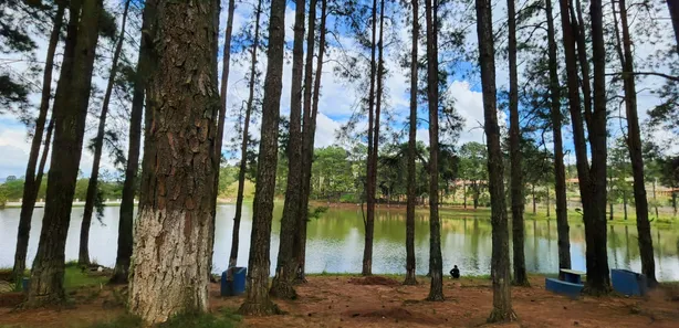Fazenda / Sítio / Chácara com 2 Quartos à venda, 100m² no Carafá, Votorantim