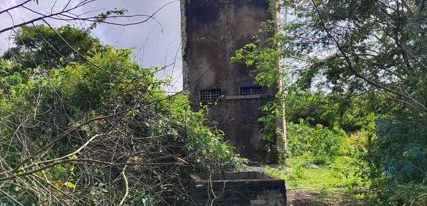 Fazenda / Sítio / Chácara com 4 Quartos à venda, 400000m² no , Vera Cruz