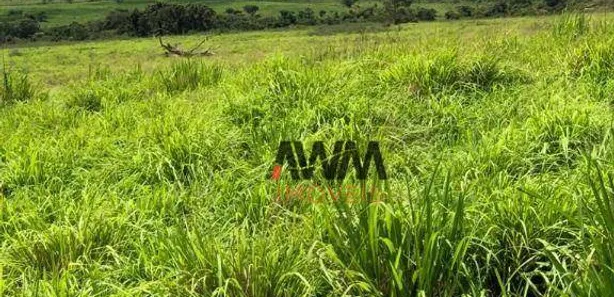 Fazenda / Sítio / Chácara à venda, 51691200m² no , Arapoema
