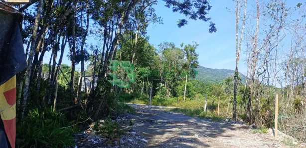 Fazenda / Sítio / Chácara com 2 Quartos à venda, 100m² no , Mongaguá